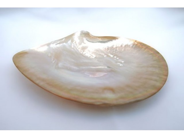 Caviar bowl made of real mother-of-pearl